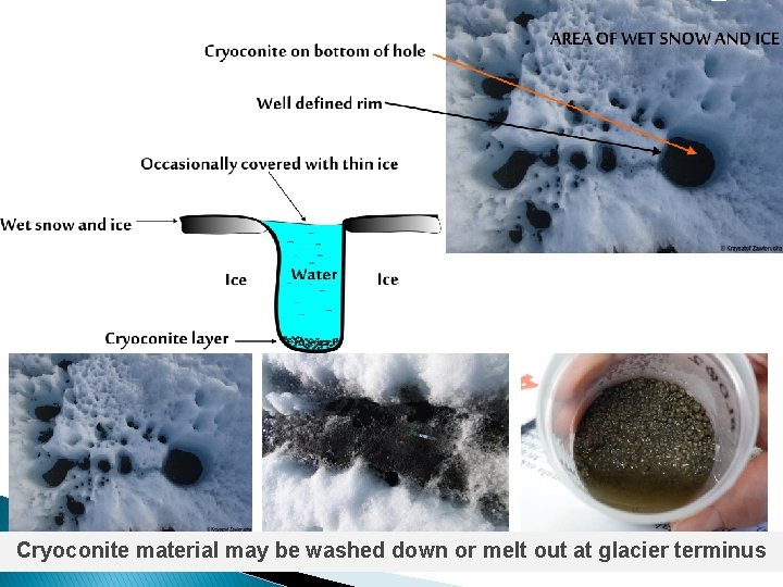 RESEARCH METERIAL INITIAL SOILS from the proglacial zone of glaciers TUNDRA SOILS CRYOCONITES -