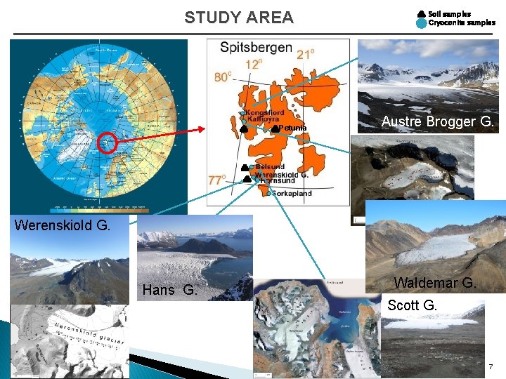 STUDY AREA Petunia Soil samples Cryoconite samples Austre Brogger G. Werenskiold G. Hans G.