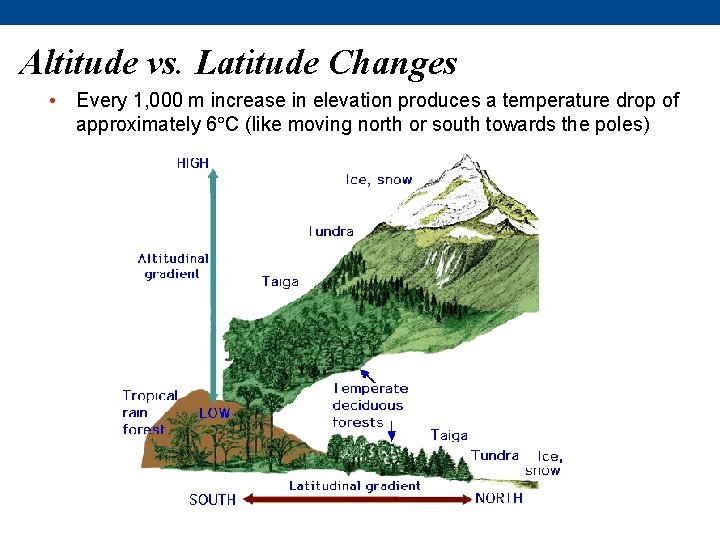 Altitude vs. Latitude Changes • Every 1, 000 m increase in elevation produces a