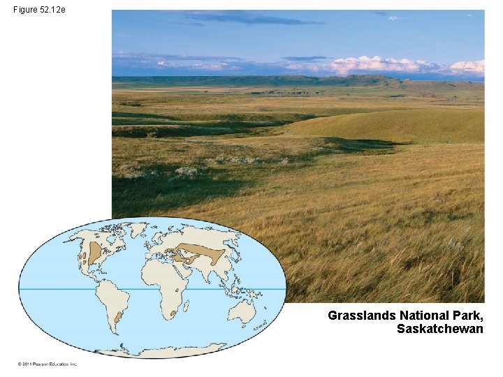Figure 52. 12 e Grasslands National Park, Saskatchewan 
