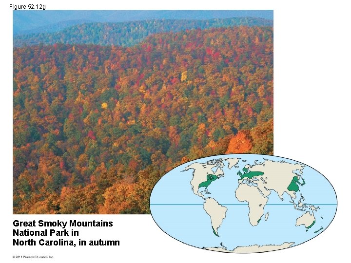 Figure 52. 12 g Great Smoky Mountains National Park in North Carolina, in autumn