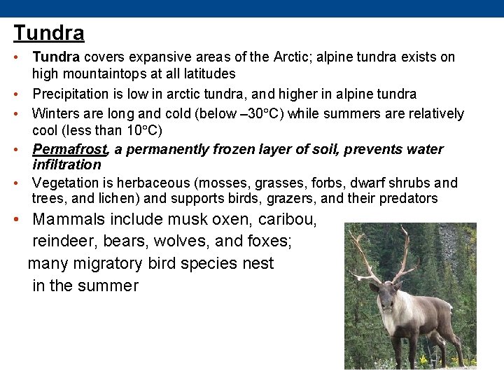Tundra • Tundra covers expansive areas of the Arctic; alpine tundra exists on high