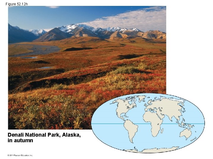 Figure 52. 12 h Denali National Park, Alaska, in autumn 