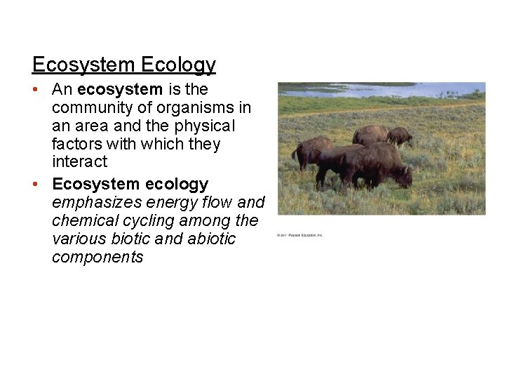 Ecosystem Ecology • An ecosystem is the community of organisms in an area and