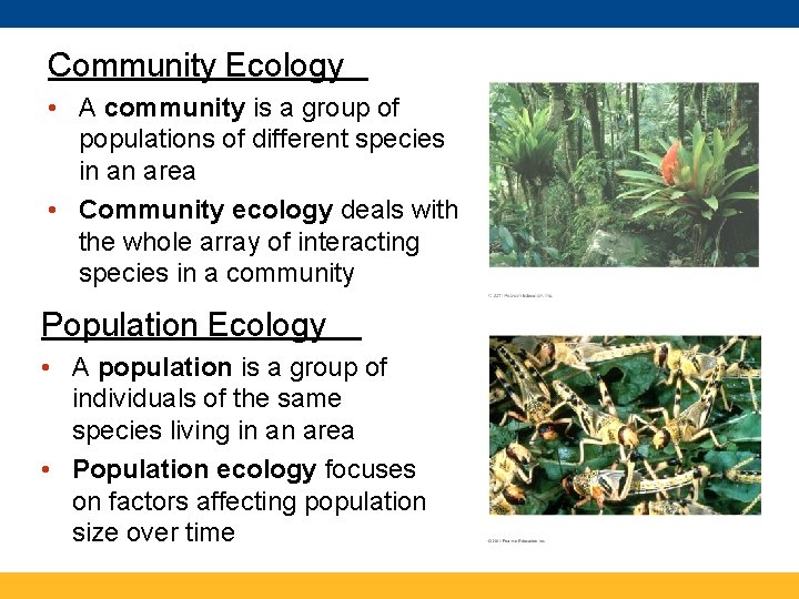 Community Ecology • A community is a group of populations of different species in