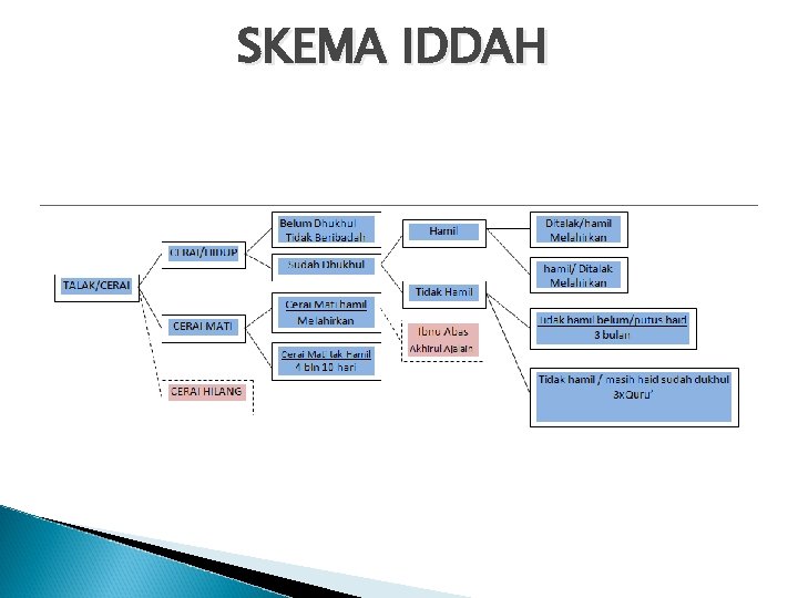 SKEMA IDDAH 