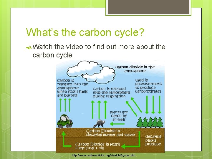 What’s the carbon cycle? Watch the video to find out more about the carbon
