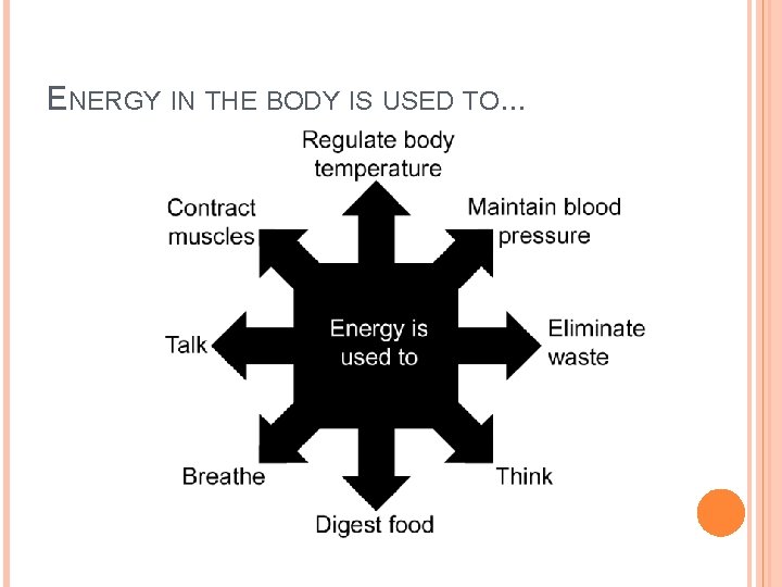ENERGY IN THE BODY IS USED TO. . . 