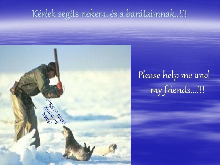 Kérlek segíts nekem, és a barátaimnak. . !!! Please help me and my friends.