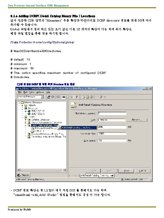 Data Protector Internal Database (IDB) Management 3. 1. 4 Adding DCBF( Detail Catalog Binary