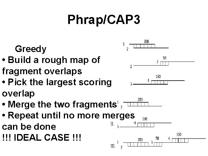 Phrap/CAP 3 Greedy • Build a rough map of fragment overlaps • Pick the