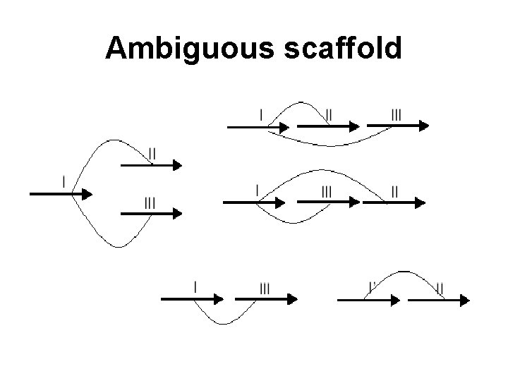 Ambiguous scaffold 