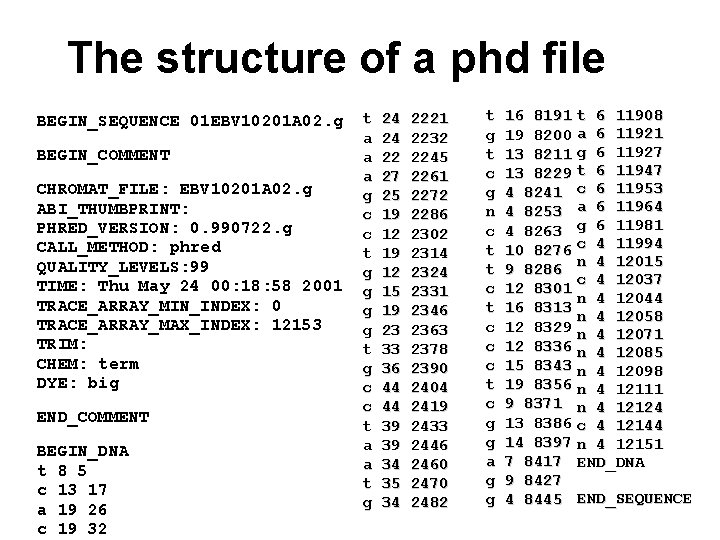 The structure of a phd file BEGIN_SEQUENCE 01 EBV 10201 A 02. g BEGIN_COMMENT