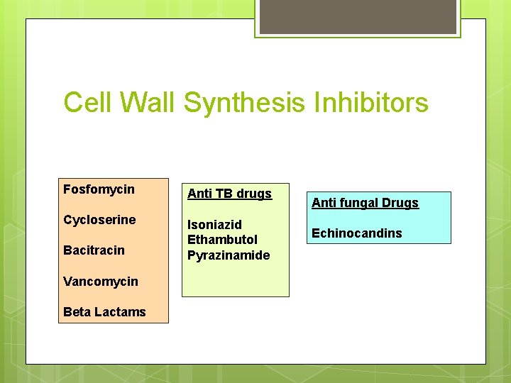 Cell Wall Synthesis Inhibitors Fosfomycin Anti TB drugs Cycloserine Isoniazid Ethambutol Pyrazinamide Bacitracin Vancomycin