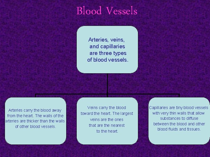 Blood Vessels Arteries, veins, and capillaries are three types of blood vessels. Arteries carry