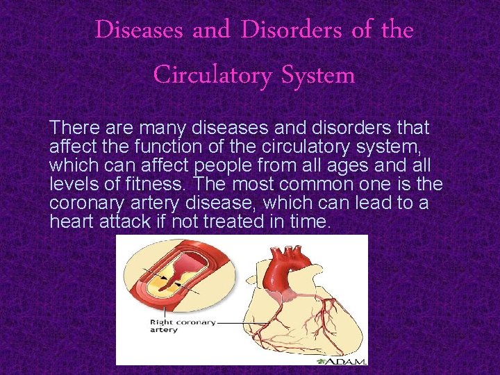Diseases and Disorders of the Circulatory System There are many diseases and disorders that