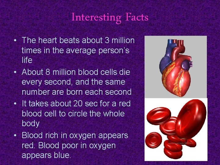 Interesting Facts • The heart beats about 3 million times in the average person’s