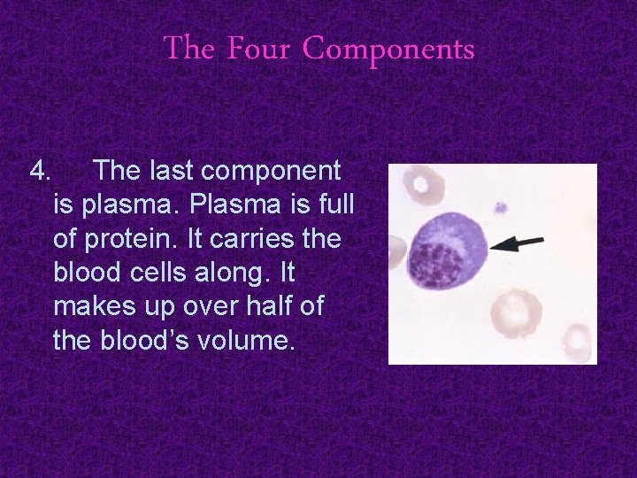 The Four Components 4. The last component is plasma. Plasma is full of protein.