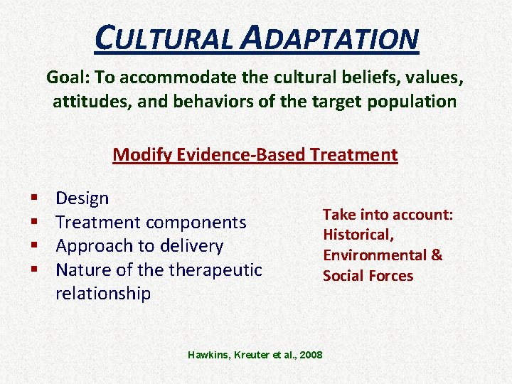 CULTURAL ADAPTATION Goal: To accommodate the cultural beliefs, values, attitudes, and behaviors of the
