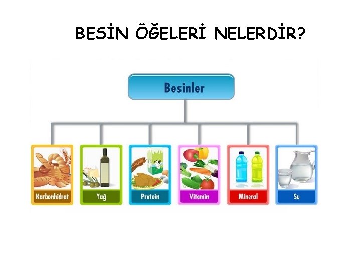 BESİN ÖĞELERİ NELERDİR? 