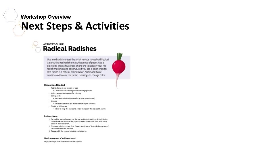 Workshop Overview Next Steps & Activities 