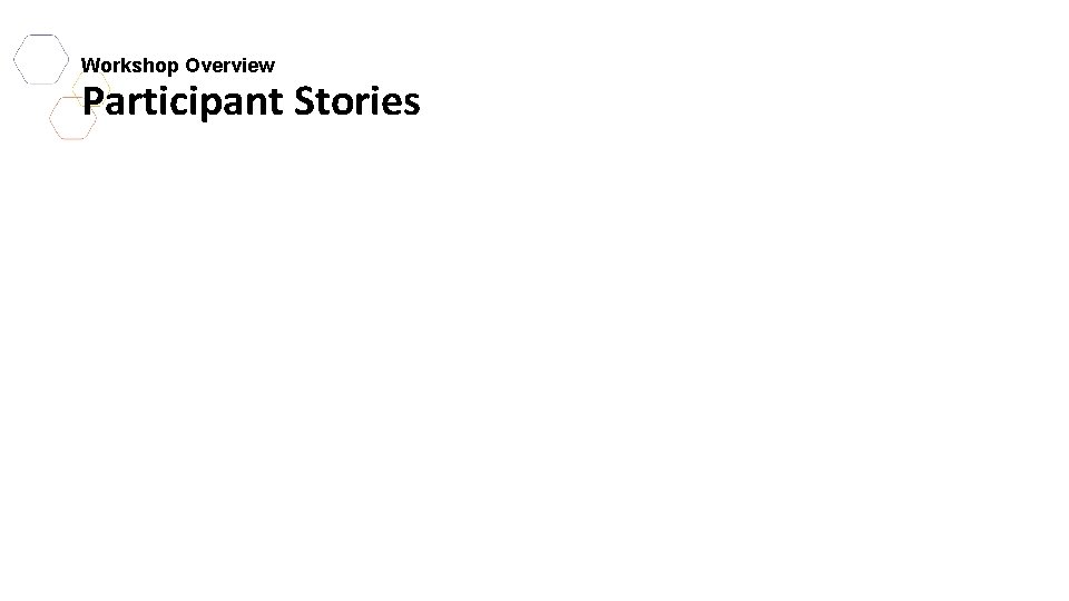 Workshop Overview Participant Stories 