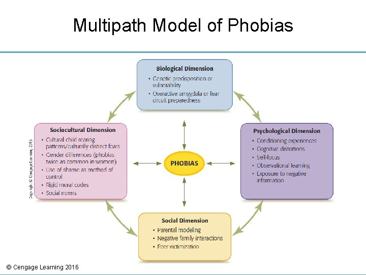 Multipath Model of Phobias © Cengage Learning 2016 