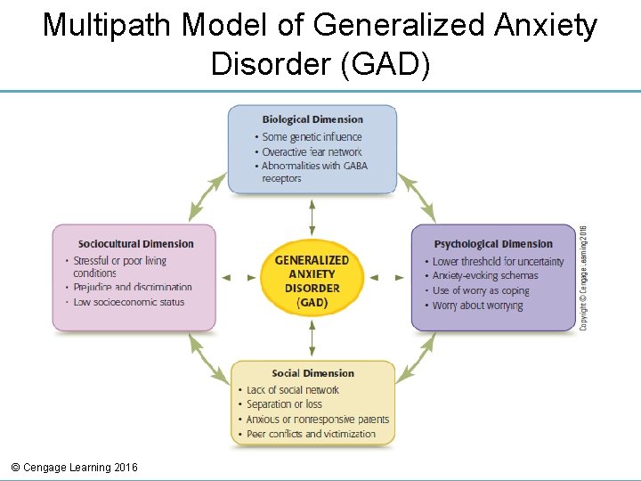 Multipath Model of Generalized Anxiety Disorder (GAD) © Cengage Learning 2016 