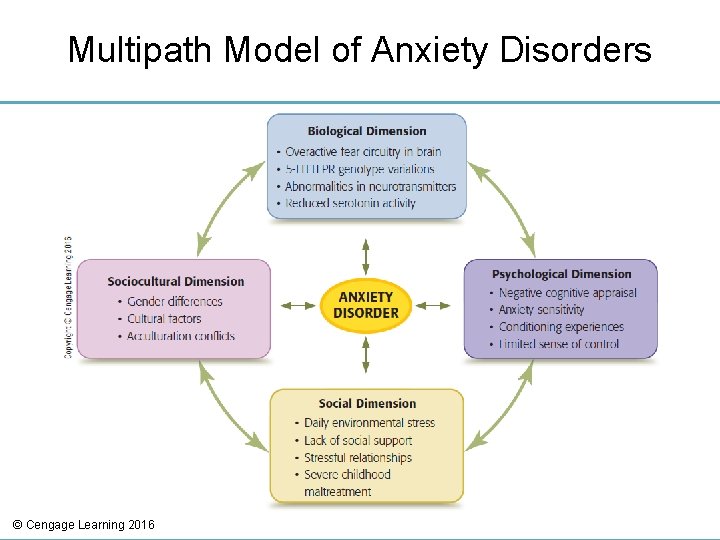 Multipath Model of Anxiety Disorders © Cengage Learning 2016 