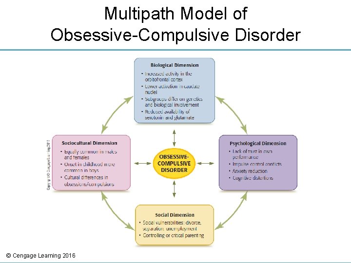 Multipath Model of Obsessive-Compulsive Disorder © Cengage Learning 2016 