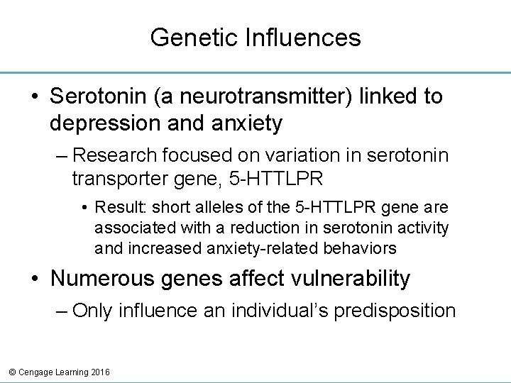 Genetic Influences • Serotonin (a neurotransmitter) linked to depression and anxiety – Research focused