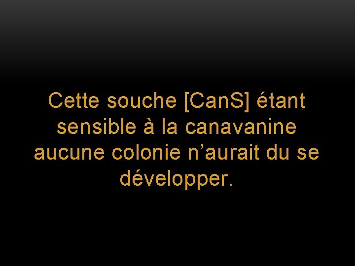 Cette souche [Can. S] étant sensible à la canavanine aucune colonie n’aurait du se