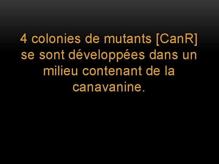 4 colonies de mutants [Can. R] se sont développées dans un milieu contenant de