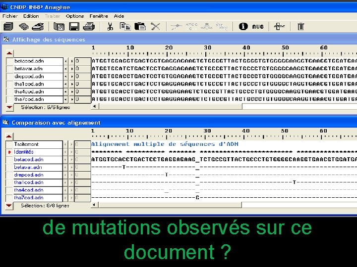 Quels sont les différents types de mutations observés sur ce document ? 