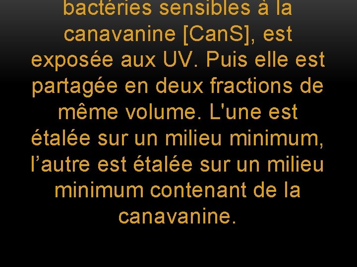 bactéries sensibles à la canavanine [Can. S], est exposée aux UV. Puis elle est