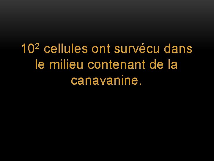 102 cellules ont survécu dans le milieu contenant de la canavanine. 