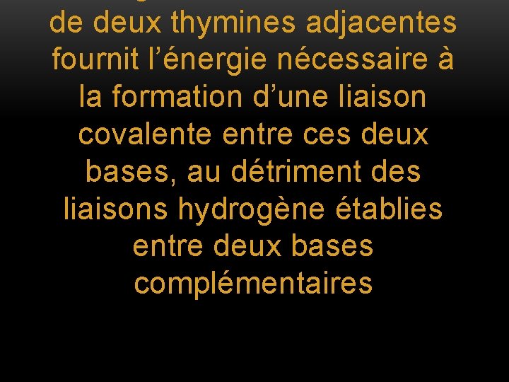 de deux thymines adjacentes fournit l’énergie nécessaire à la formation d’une liaison covalente entre