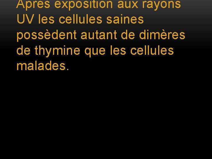 Après exposition aux rayons UV les cellules saines possèdent autant de dimères de thymine