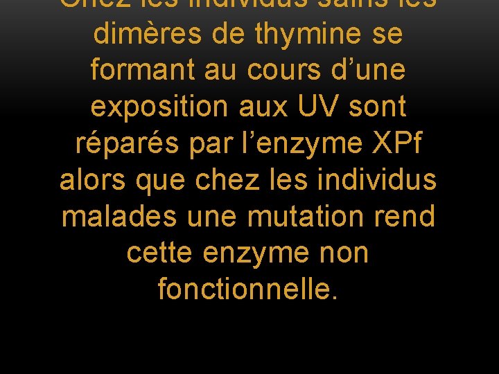 Chez les individus sains les dimères de thymine se formant au cours d’une exposition