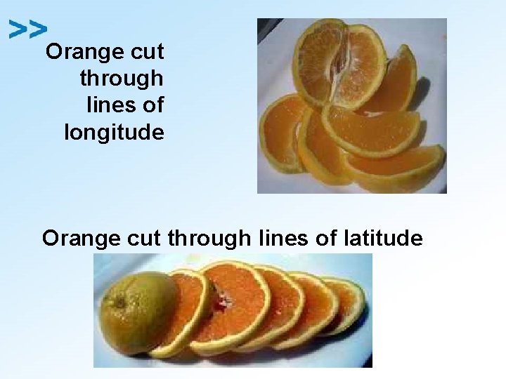 Orange cut through lines of longitude Orange cut through lines of latitude 