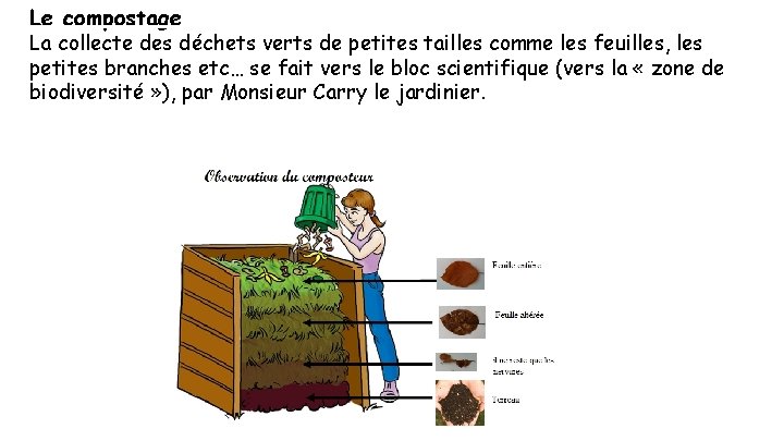 Le compostage La collecte des déchets verts de petites tailles comme les feuilles, les