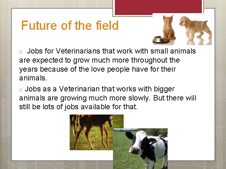 Future of the field Jobs for Veterinarians that work with small animals are expected