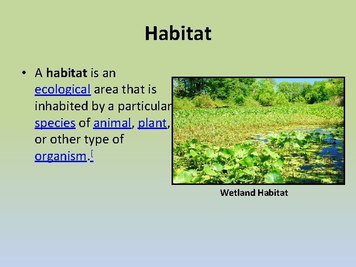Habitat • A habitat is an ecological area that is inhabited by a particular