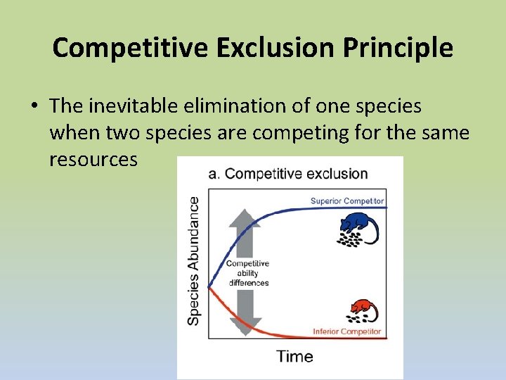 Competitive Exclusion Principle • The inevitable elimination of one species when two species are