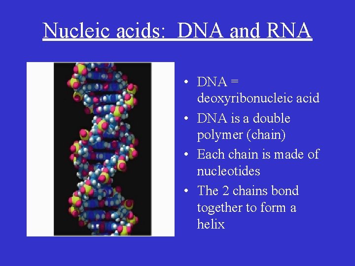 Nucleic acids: DNA and RNA • DNA = deoxyribonucleic acid • DNA is a