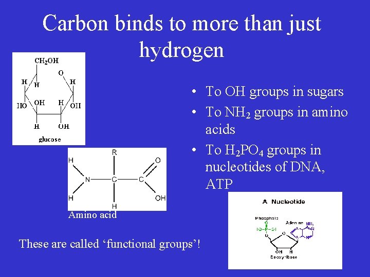 Carbon binds to more than just hydrogen • To OH groups in sugars •