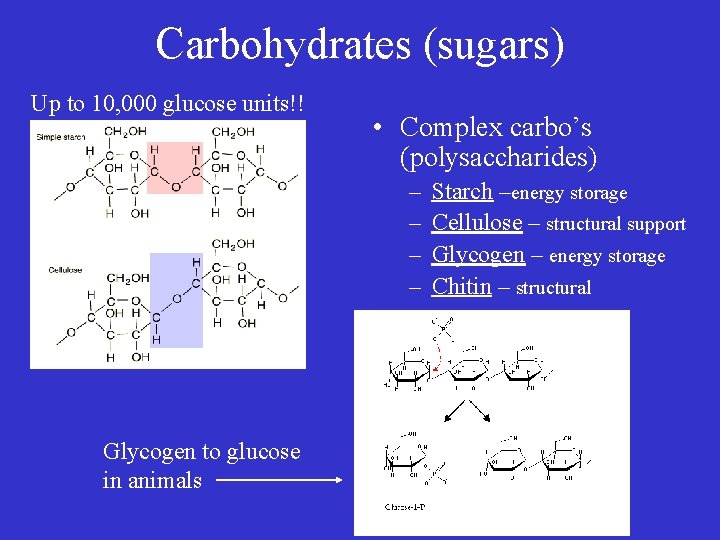 Carbohydrates (sugars) Up to 10, 000 glucose units!! • Complex carbo’s (polysaccharides) – –