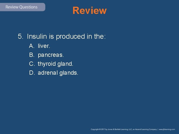 Review 5. Insulin is produced in the: A. B. C. D. liver. pancreas. thyroid
