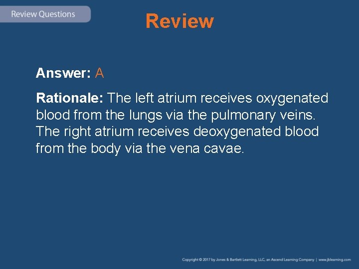Review Answer: A Rationale: The left atrium receives oxygenated blood from the lungs via
