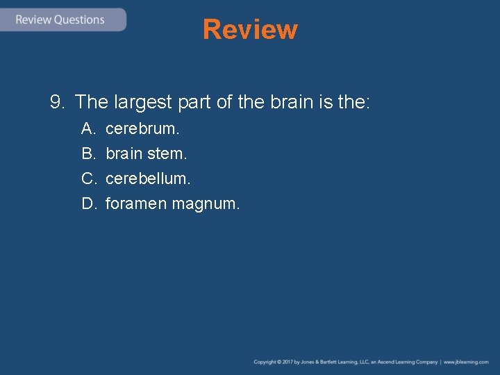 Review 9. The largest part of the brain is the: A. B. C. D.